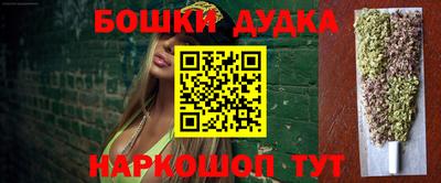 шишки Аргун