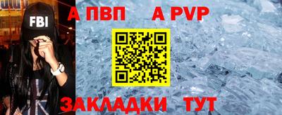 шишки Аргун