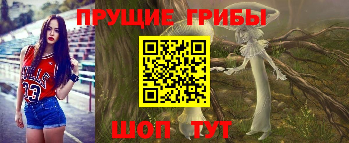 Галлюциногенные грибы Psilocybine cubensis Белорецк